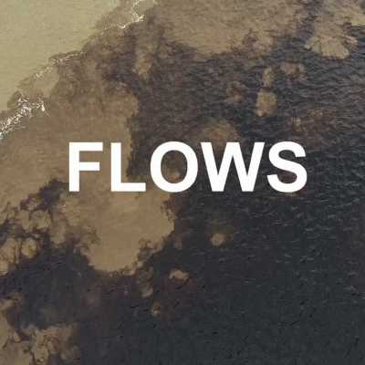 Mexico Flows 2