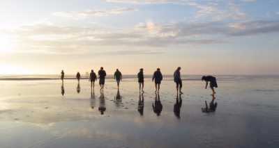 Beachexploer - am Nordseestrand  © RBorcherding/Schutzstation