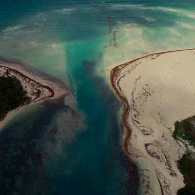 Mexican coast