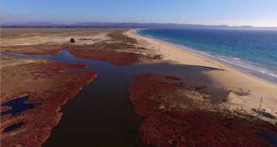 Humedales costeros Tongoy