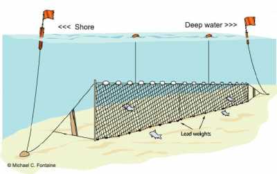 Gill net Gill net
