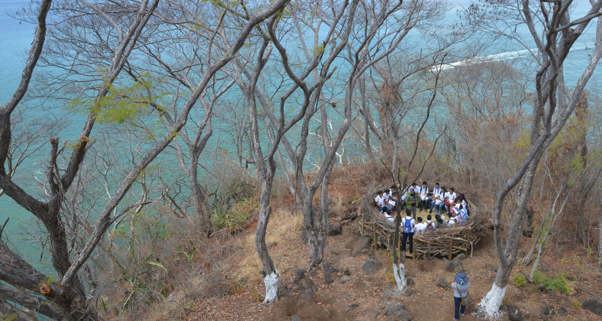 First ecological track