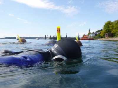 Schnorcheln in der Ostsee