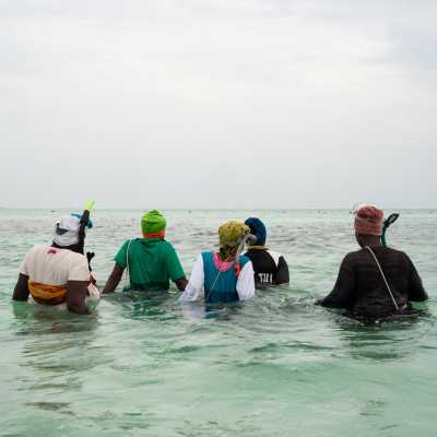 Tanzania: Independent underwater sea sponge farmers of Zanzibar