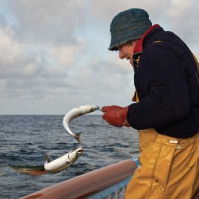 Korallenriffe