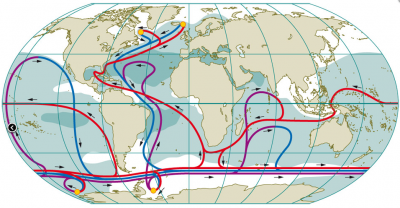 Thermohaline Zirkulation Thermohaline Zirkulation