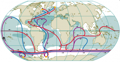 Thermohaline Zirkulation