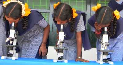 Durch das Mikroskop eröffnet sich den Schülerinnen ein Blick auf das Meeresplankton 