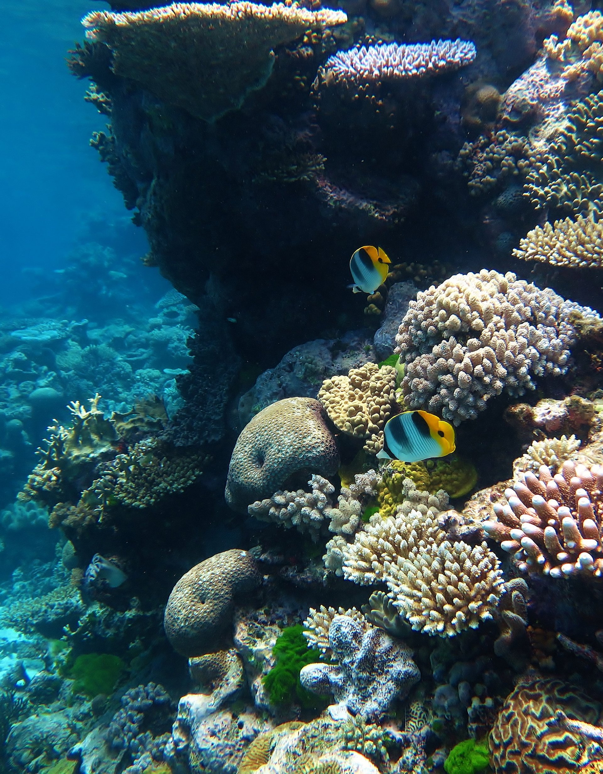 Photo: Wise_Hok_Wai_Lum Photo: Wise_Hok_Wai_Lum