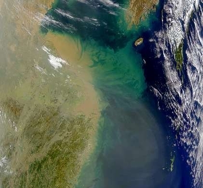 Bloom of phytoplankton