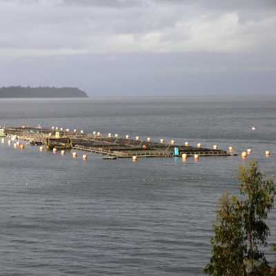 Chile: Coastal Zone Management in Gulf of Ancud and Gulf of Corcovado