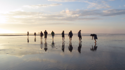 Beachexploer - am Nordseestrand  © RBorcherding/Schutzstation