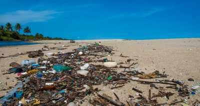 Local beach - global garbage: Linha verde 