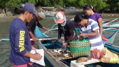 Fishcatchdatabase Fishcatchdatabase