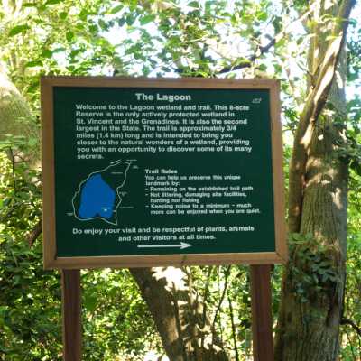 trail trail
