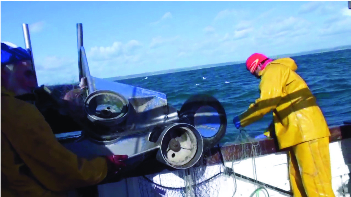 Video documentation can and has benefitted inshore fishers and others with an interest in the fisheries. Video documentation can and has benefitted inshore fishers and others with an interest in the fisheries.