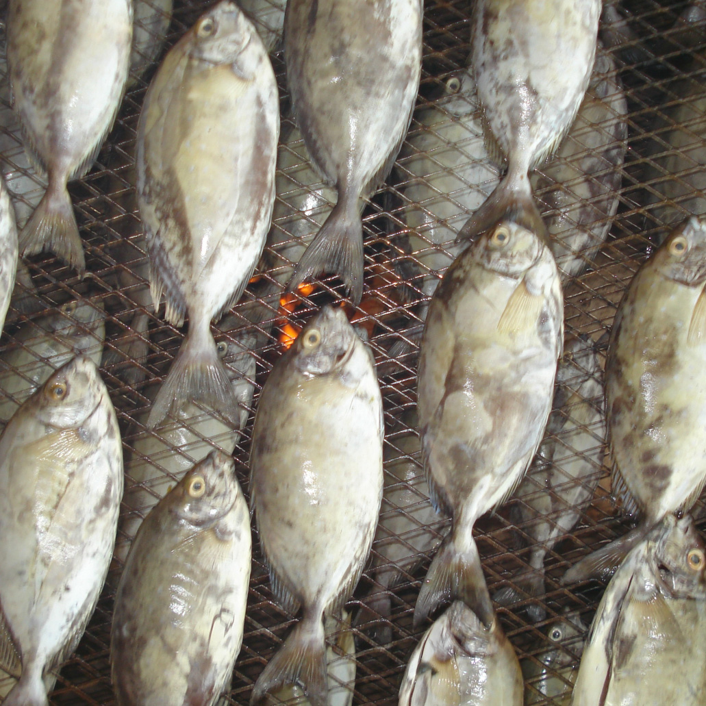 Kenya: Improved fish processing by smoking and solar drying